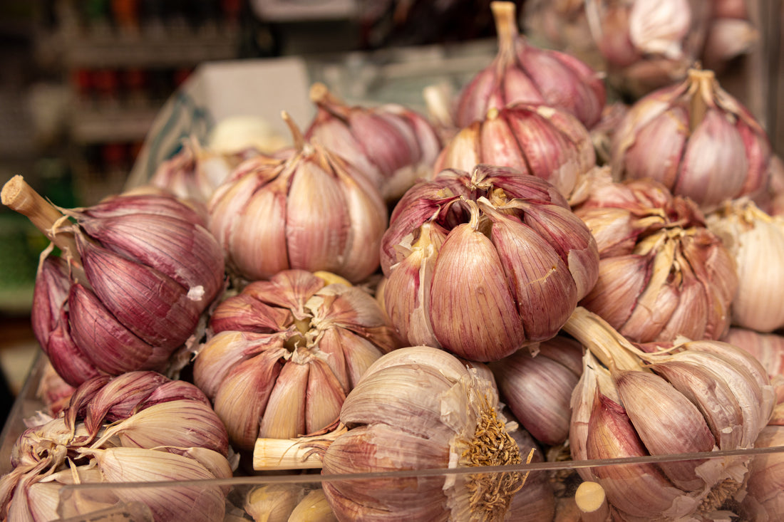 The Benefits of Prebiotics for Gut Health: A Comprehensive Guide