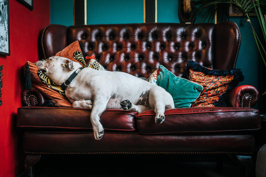 It's Okay to Do Nothing