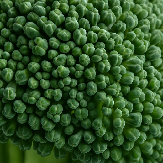 Broccoli
