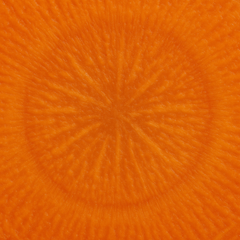 Carrot