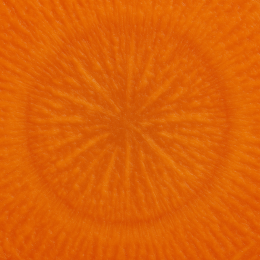 Carrot