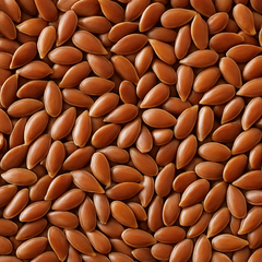 Flax