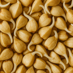Sprouted buckwheat