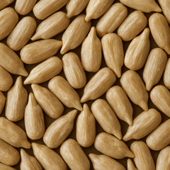 Sunflower seed
