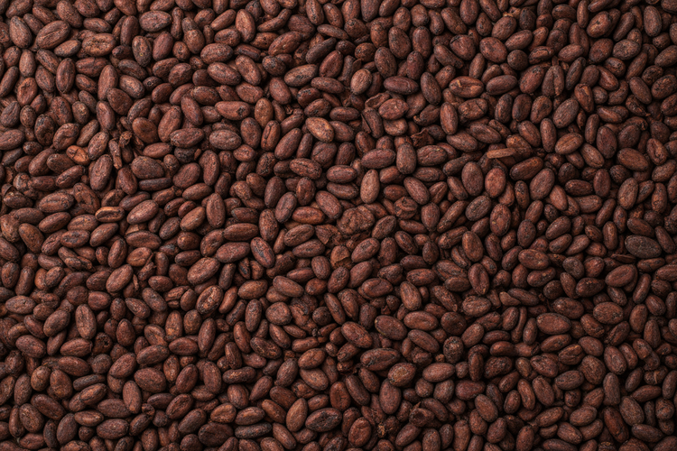 cacao beans spread across, no white